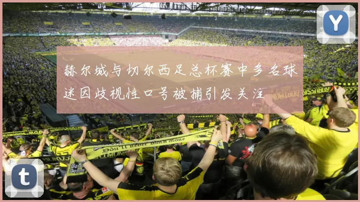赫尔城与切尔西足总杯赛中多名球迷因歧视性口号被捕引发关注